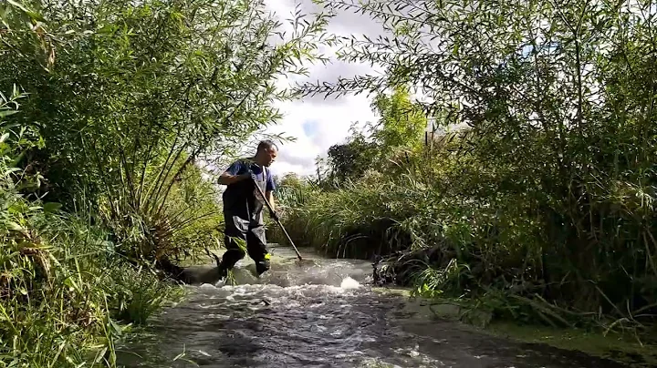 Hard working man #2 | Beaver dam removal by hand and rake. Mud, dirt and reeds. #hardworkingman