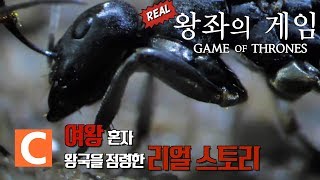 (리얼)왕좌의 게임 | 철 왕좌를 차지하기 위한 두 여왕의 치열한 전투