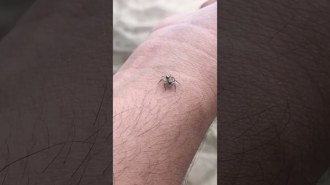 😲😲 what is this? 