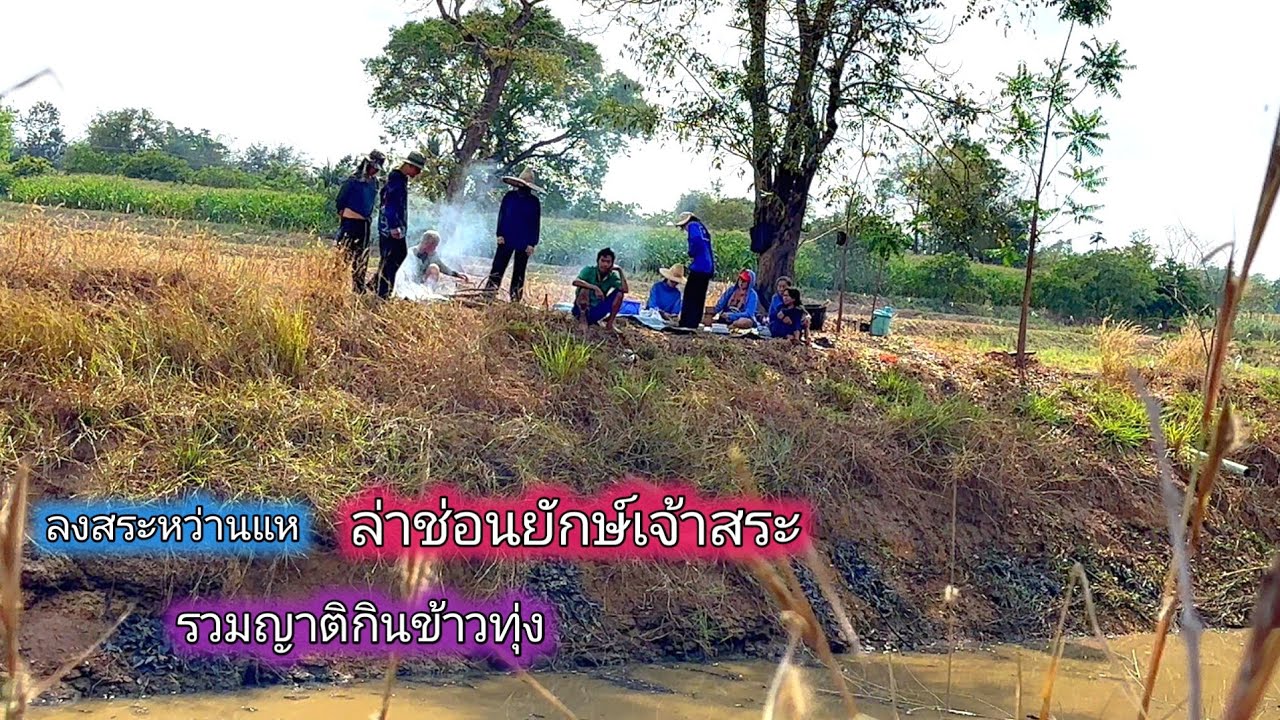 มันใหญ่มาก!! ลงสระหว่านแห ล่ายักษ์ใหญ่เจ้าสระ รวมญาติกินข้าวทุ่ง จัดเมนูเด็ดใครได้กินต้องติดใจ