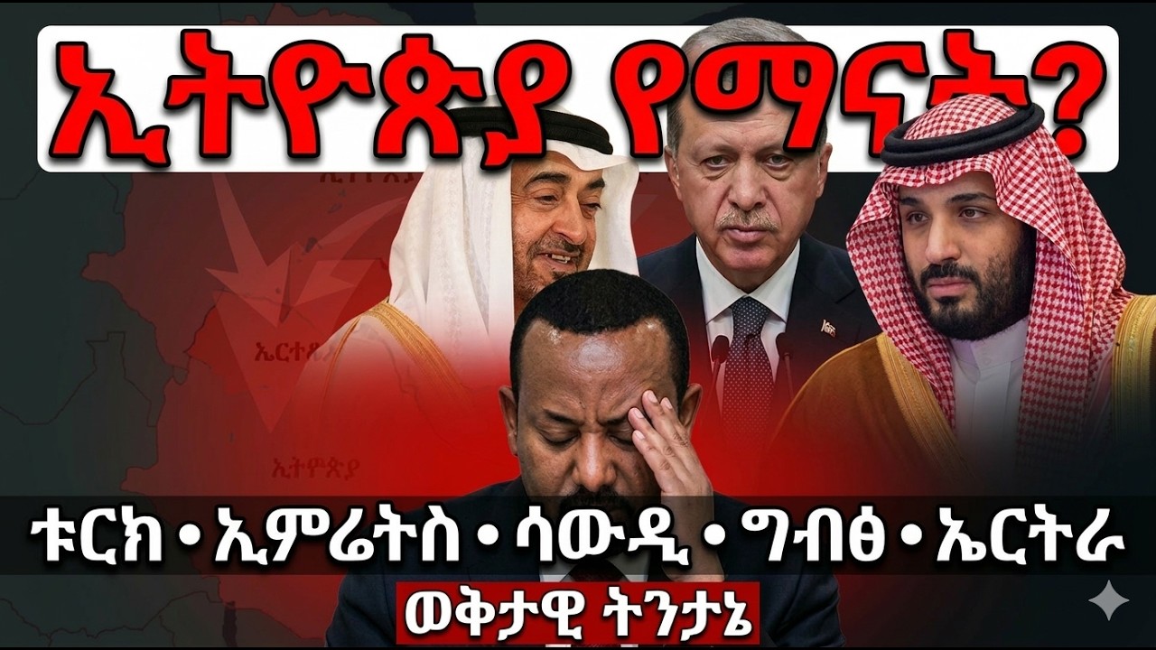 ኢትዮጵያ ሰላምሽ ይብዛልሽ እንጅ የቱርክ፣ የኢምሬትስ እና የግብፅ ድብቅ ሴራ ከባድ ነው| Ethiopia Geopolitics: Turkey, UAE & Egypt