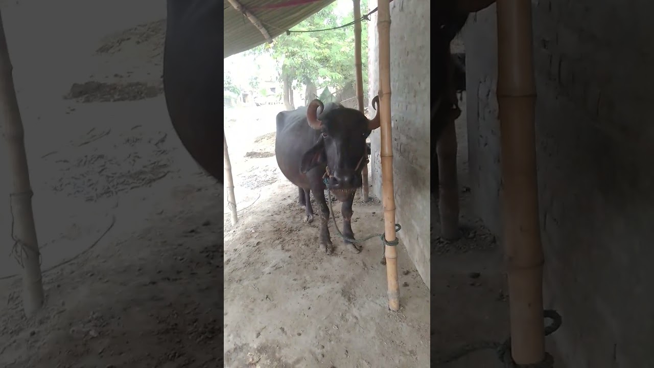 gjh of the right to ❤️❤️🥯🌭