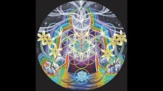 Universal Language, Codes & Symbols PT20