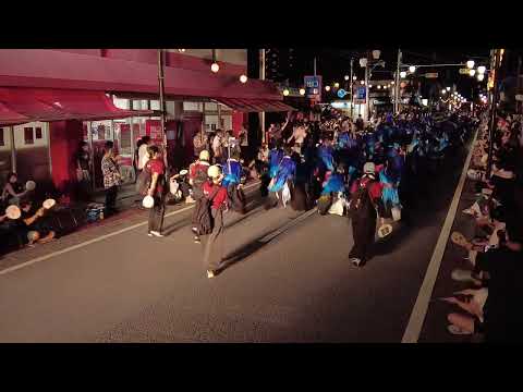 香川大学よさこい連風華　2022よさこい踊り特別演舞 万々競演場　2022年8月11日