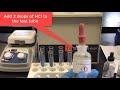 CH181 Qulaititave analysis of group 1 cations