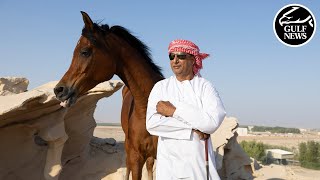 A day in the life of Emirati Ali Al Ameri: The man who ‘speaks’ to wild horses
