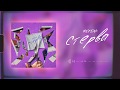 ФОГЕЛЬ - СТЕРВА | Official Audio