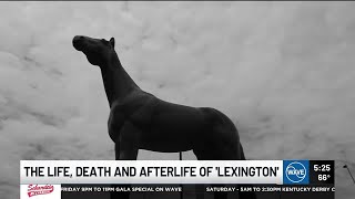 Lexington: The life, death and afterlife of the most famous thoroughbred you’ve never heard of