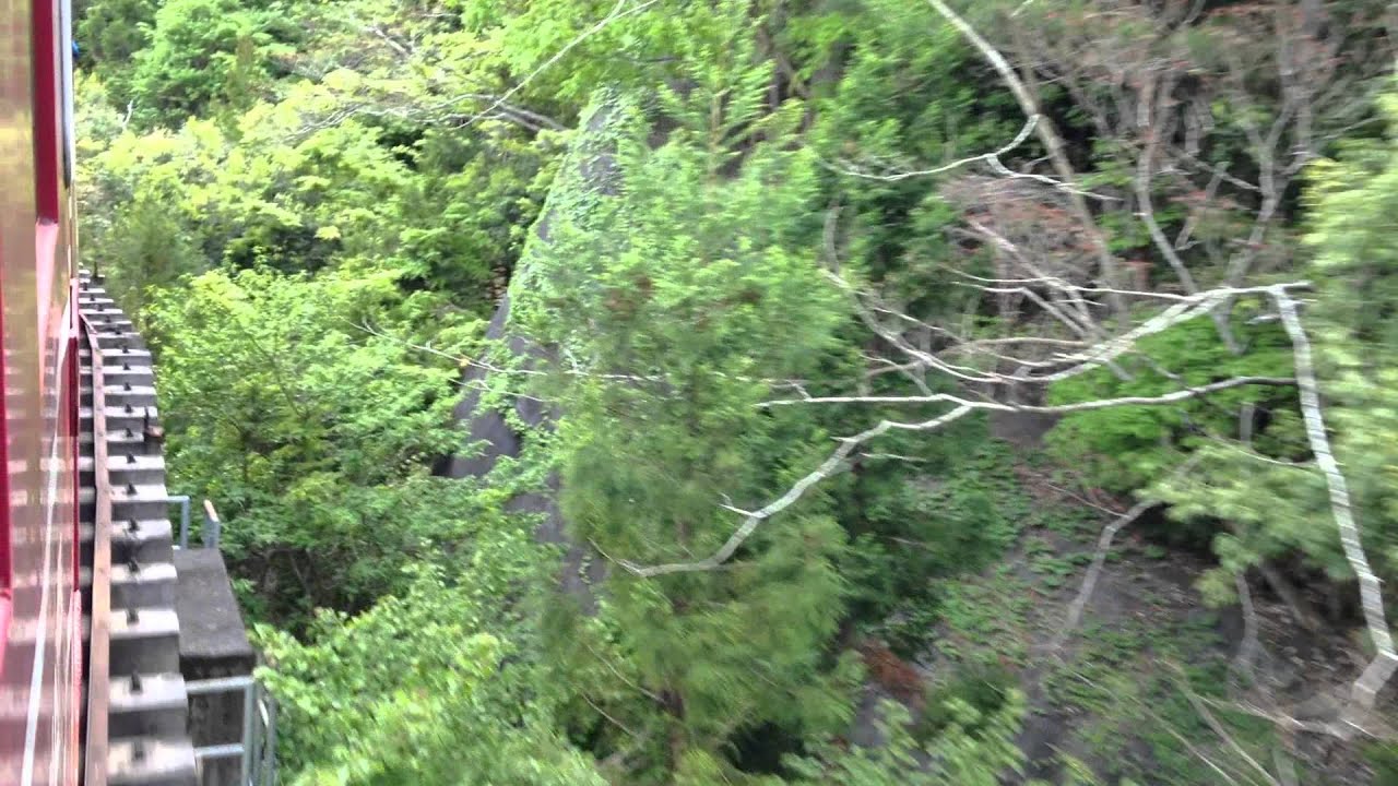 IMG 2303 YouTube