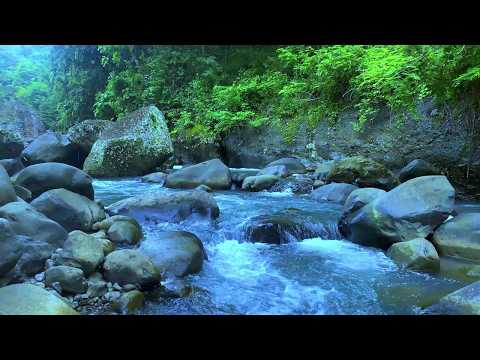 Natural Water Sounds for Relaxation and Sleep | River Flow