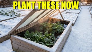 PLANT THIS IN DECEMBER! Don't Wait for Spring