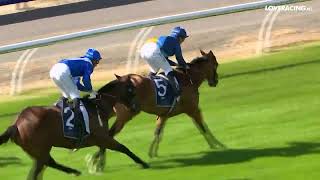 Listed Property Brokers Welcome Stakes - Enchantment