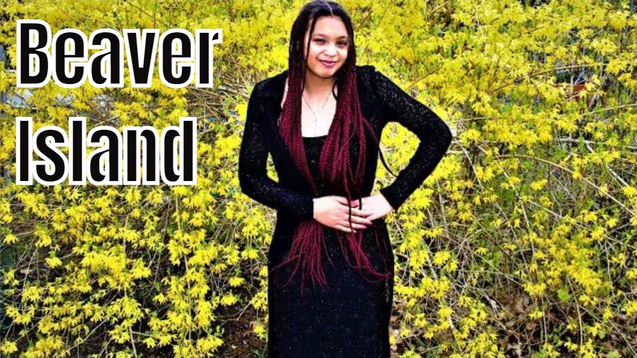 Fall Colors On BEAVER ISLAND  ||81||