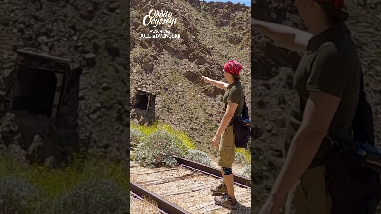 Largest Wooden Trestle in the World