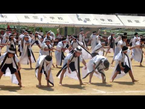ソーラン節　2014 yosakoi mao