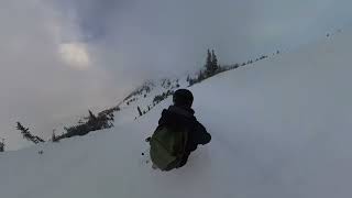 Upper Primrose Path | Snowbird (02/22/2024) [4K]