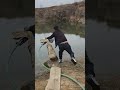 Farm Pond Turbulator Demo | Tractor-Towed Water Pusher for Fish Pond Aeration