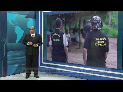 Piauí tem mais de 30 empresas registradas em lista suja do Trabalho Escravo 11 04 2025