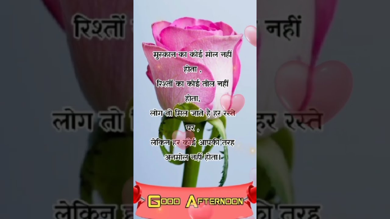 Good Afternoon Status Video Shortvideo Goodafternoon Statusvideo