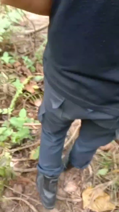 Download lagu kijang 1 kijang 2 monitor 🗣️ pencuri nya di depan mata,, ganti 🗣️