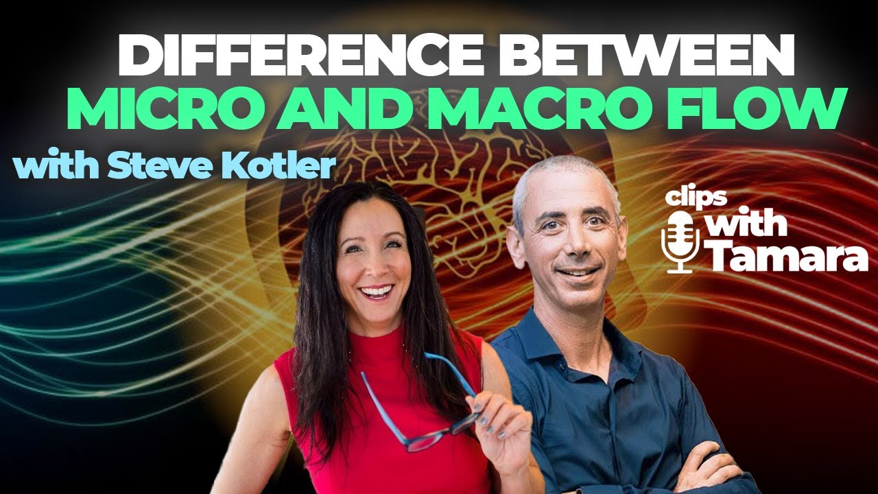 Steve Kotler explains the difference between Macro and Micro flow!