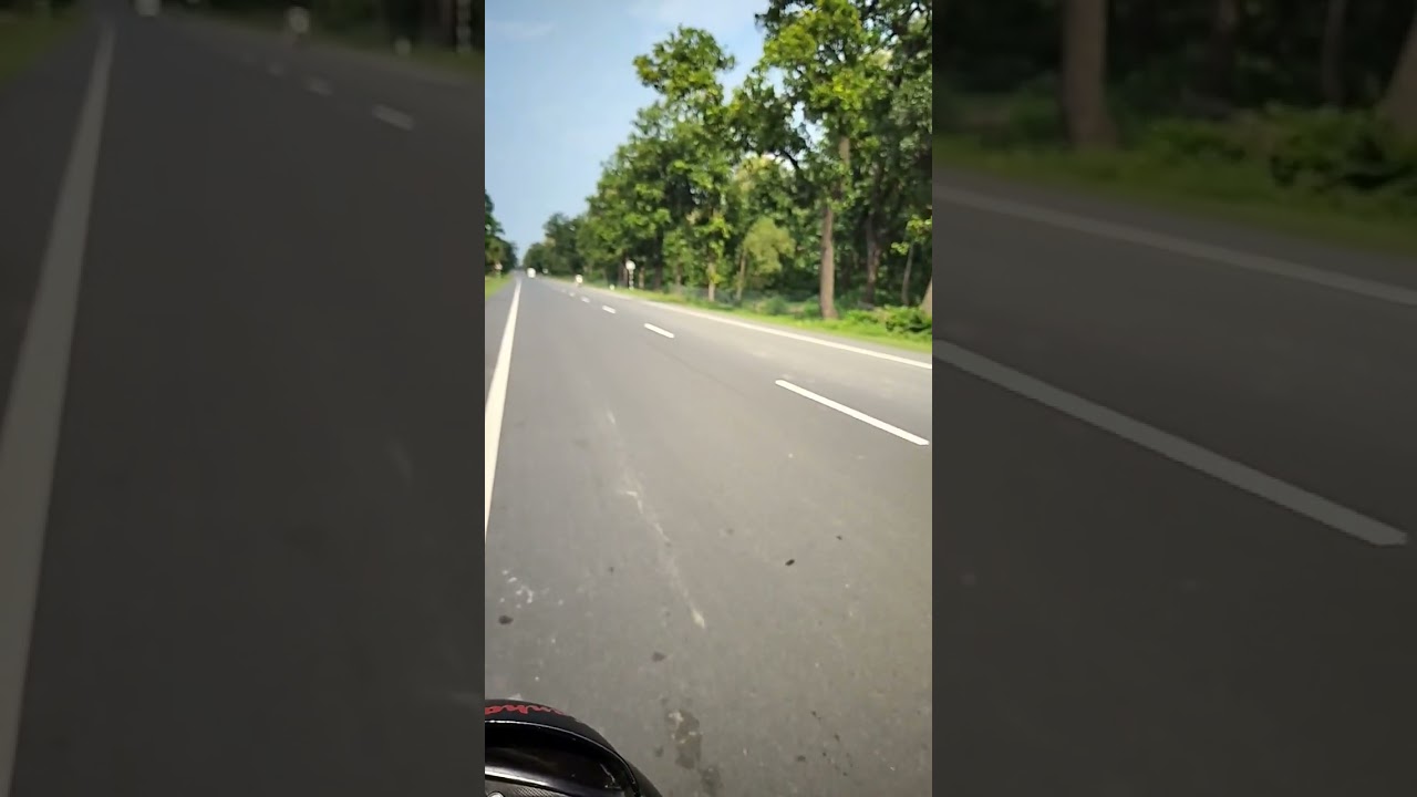 Reserve forest area of Dudhwa National Park UP