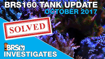 10 Weeks on the Triton Method. Is it working? | BRStv Investigates