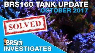 10 Weeks on the Triton Method. Is it working? | BRStv Investigates screenshot 5