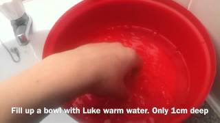 How To Bathe A Russian Tortoise