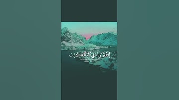 تلاوة رائعة وجميلة ومؤثرة بصوت الشيخ فارس عباد 🏵️🌼🌷💐🥀🥀🌹