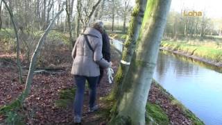 .Loha.tv Helvoirt 2016 12 26 Te Voet Te Veld