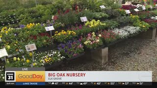 Holiday Vendor Fair at Big Oak Nursery - Elk Grove