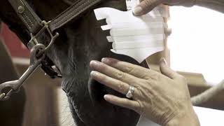 How To Apply Flair Strips Without Positioning Guide For Usa And Custom Strips