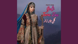 Guli Tana Zar (Pashto Song) 2026