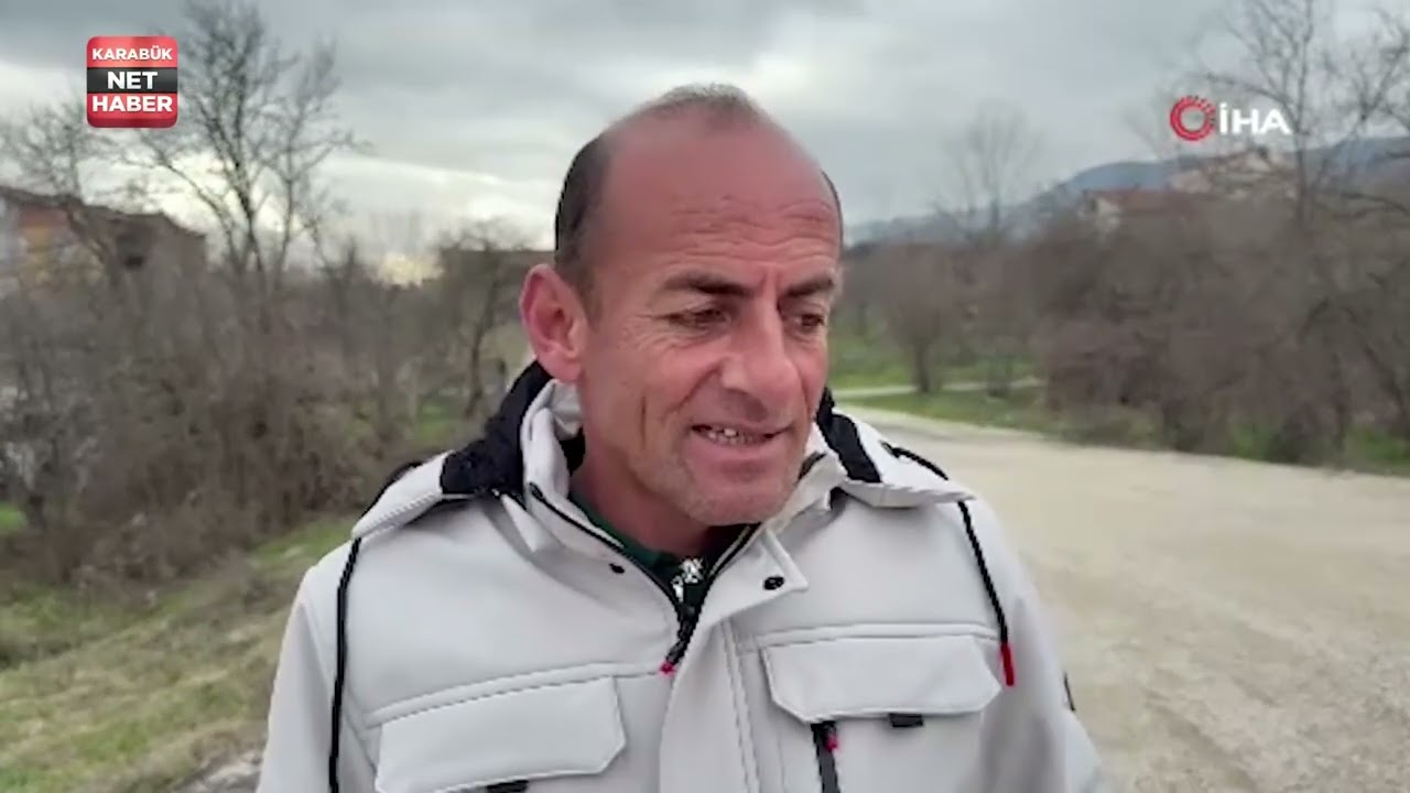 ŞEHRE İNEN YARALI ÇAKAL TEDAVİ EDİLDİ