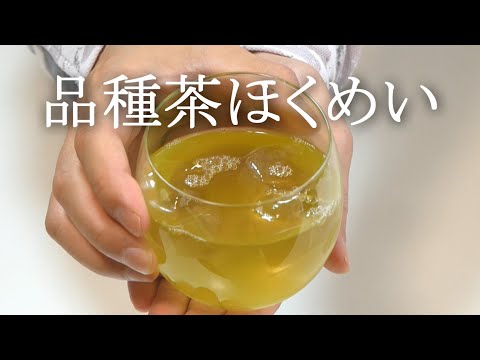 【煎茶での】冷茶の作り方（品種「ほくめい」の特徴も解説）