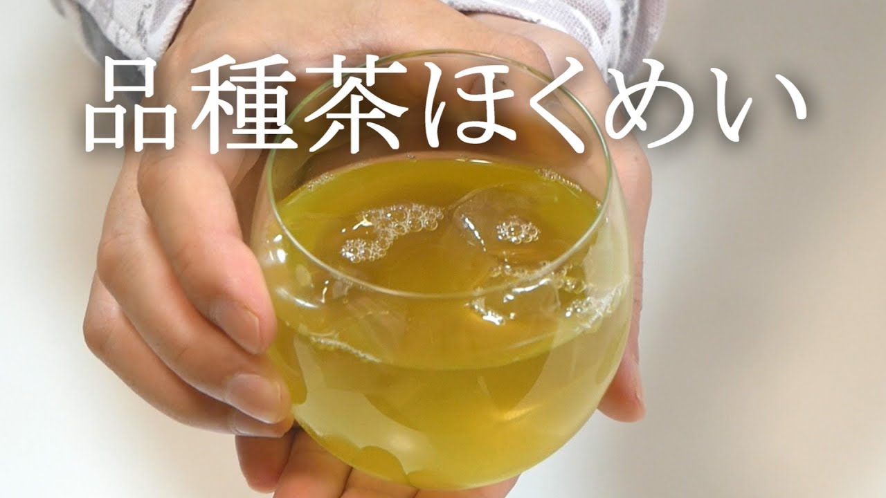 煎茶での】冷茶の作り方（品種「ほくめい」の特徴も解説） - YouTube