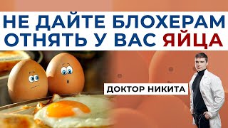 Куриные ЯЙЦА польза и вред. Сколько можно есть яиц? Доктор Ник возвращает яйца народу.