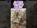 ガンダムの戦場写真集がわりと萌えた【ゆっくり解説】