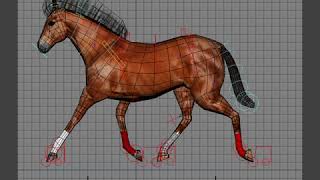 Horse Gaits - Trot Quadruped Movement Animation Tutorial Walk Gallop Trot Pace Animation