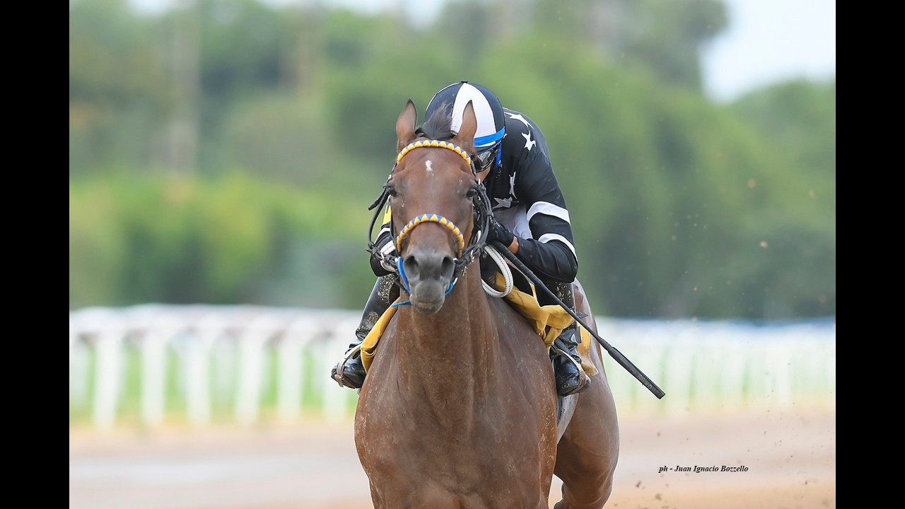 Especial Perrier 2026 - Lost Beach (Treasure Beach)