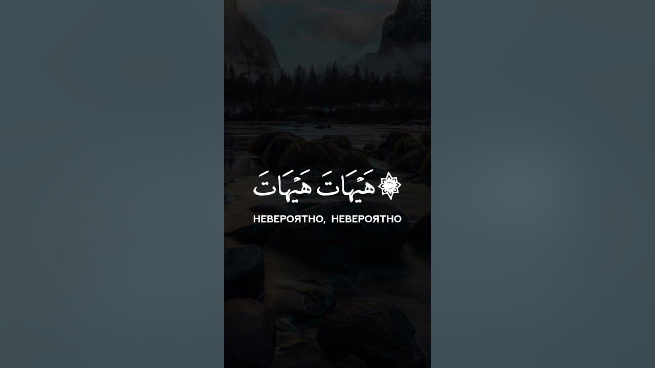 4 сура 34 аят. сура 4. сура аят. ибрахим сура 40 аят. билял абдулхаликов биография.