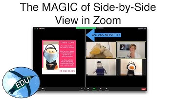 The MAGIC of Side-by-Side View in Zoom