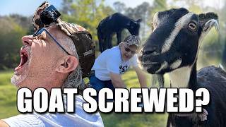 Famous TRUCK DRIVER DOES GOAT YOGA! Net Worth