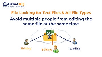 File Locking and Team Collaboration for all file types, incl. Text, Wordpad and Adobe files