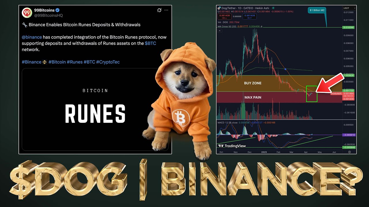 DOG (Bitcoin) - Binance Runes Leak? - YouTube