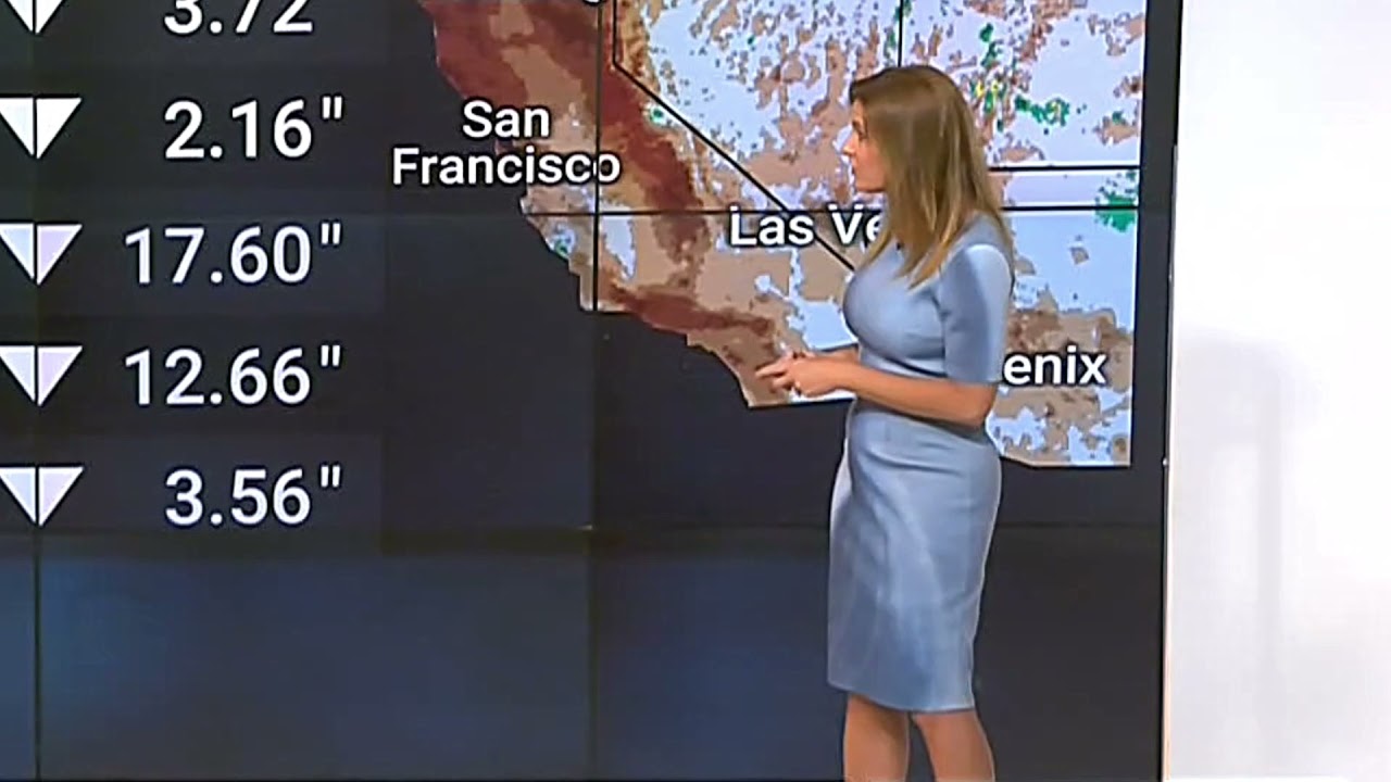 Jen Carfagno - The Weather Channel - Light Blue Dress - Profile View - Easy On The Eyes