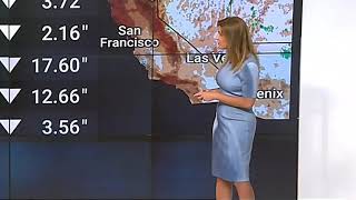 Jen Carfagno - The Weather Channel - Light Blue Dress - Profile View - Easy On The Eyes
