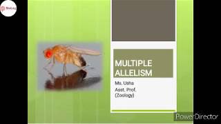 Multiple Allelism | ABO blood group system | Drosophila eye color