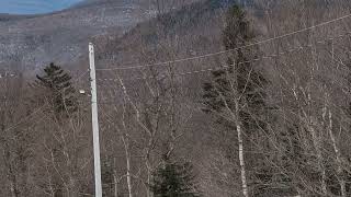 Bolton Valley Vermont March2024